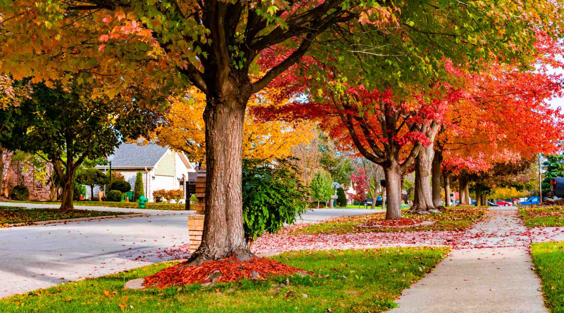 village of mount pleasant wi open houses